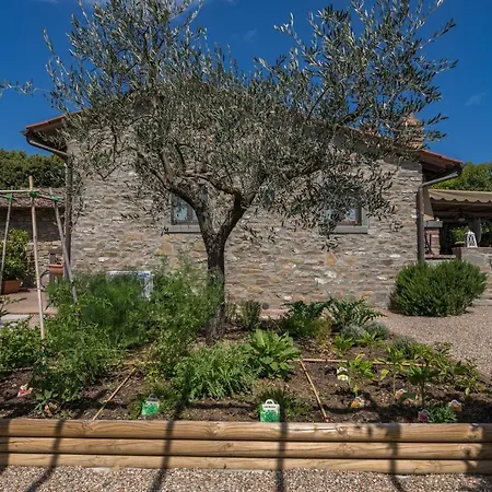 La Capannina 2&2, Emma Villa Cortona