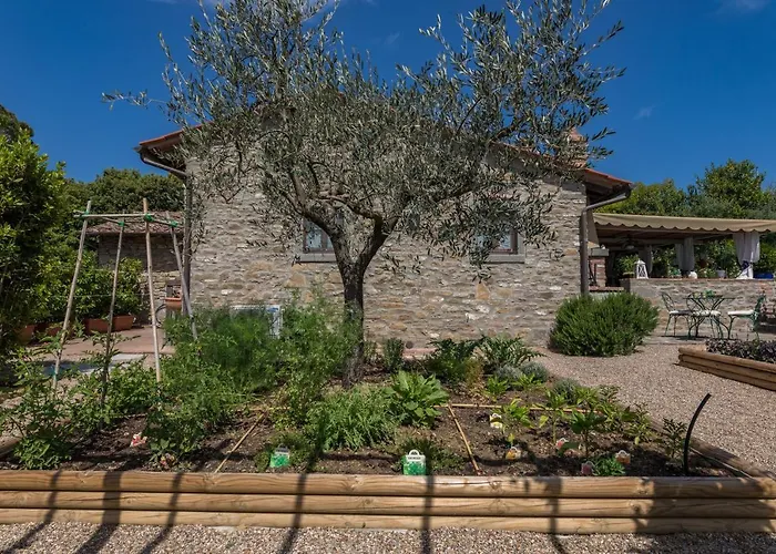 La Capannina 2&2, Emma Villa Cortona